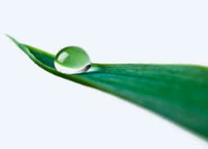 bienfaits eau filtre